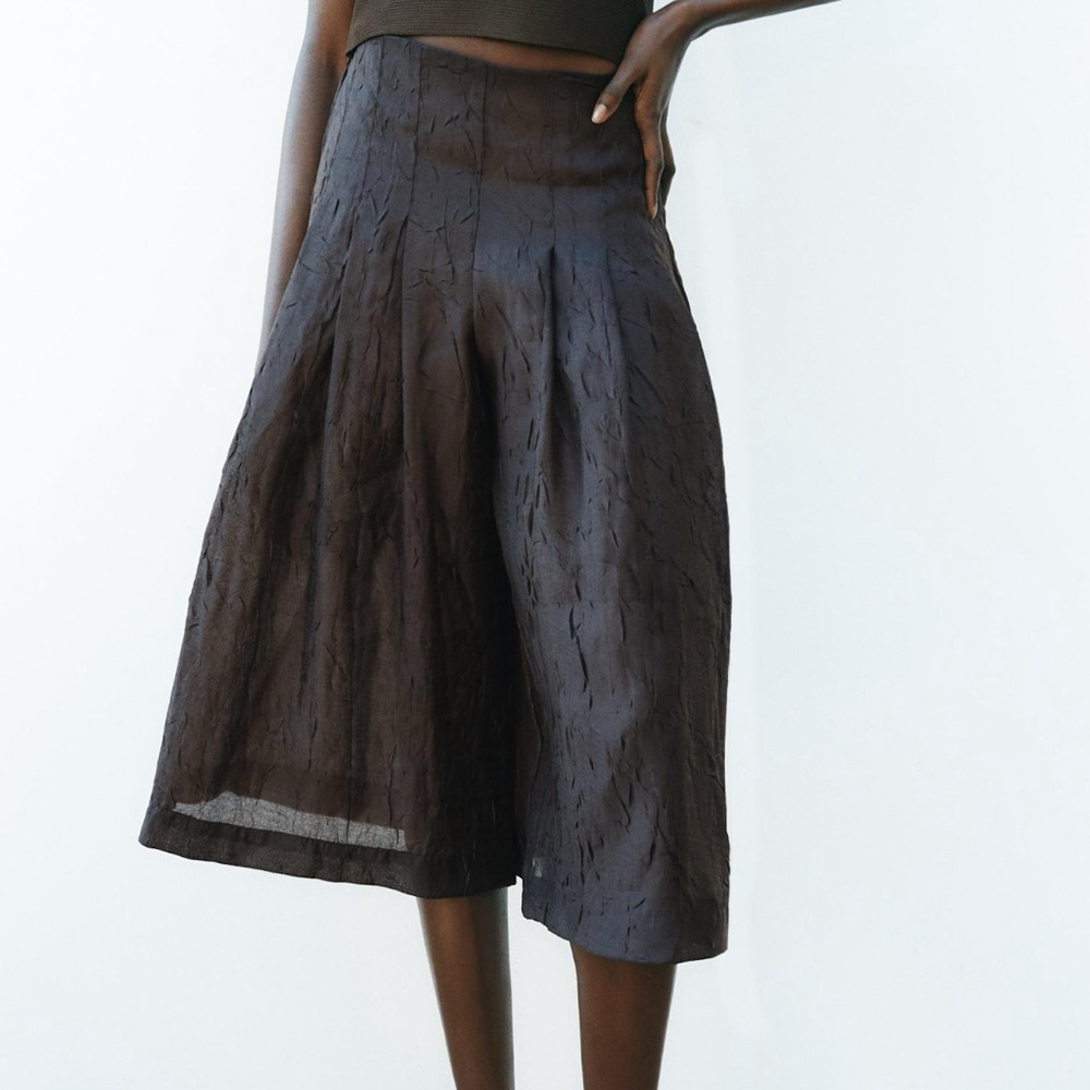 NWT Never Worn Zara Shorts